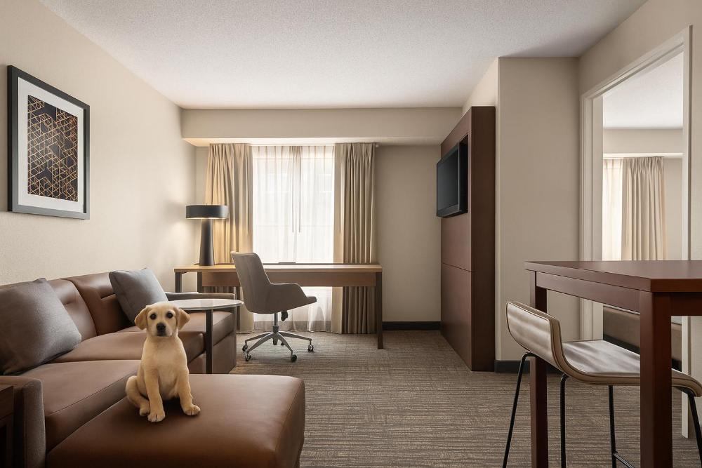 One-Bedroom Queen Suite with Sofa Bed - Non-Smoking interior